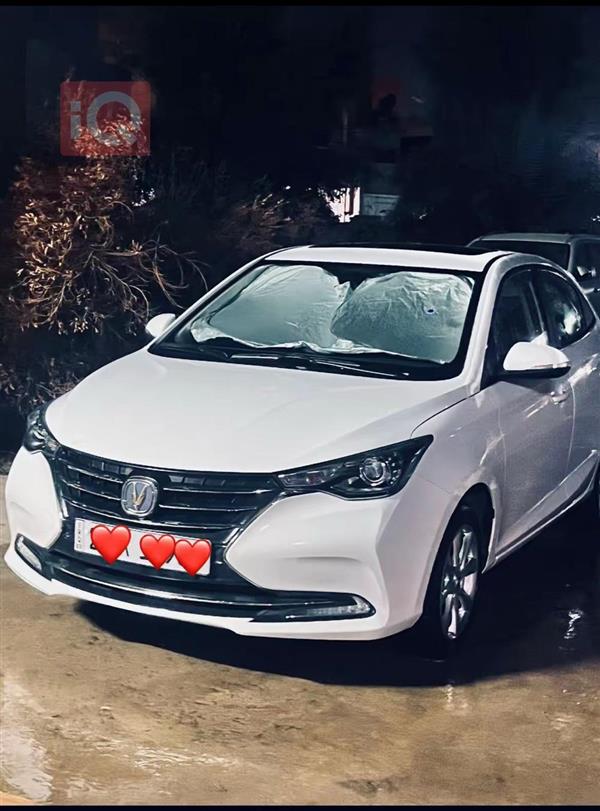 شانجان السفن 2025 للبيع في العراق - الموصل